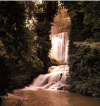 jaraba