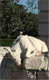 Taurino